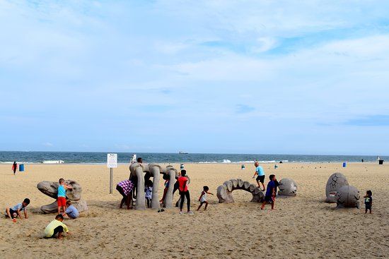 Dinosaur Bones Playground